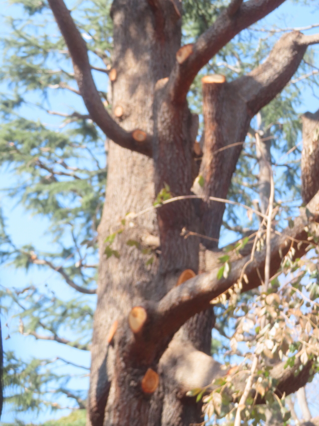 ファイル 9048-4.jpg