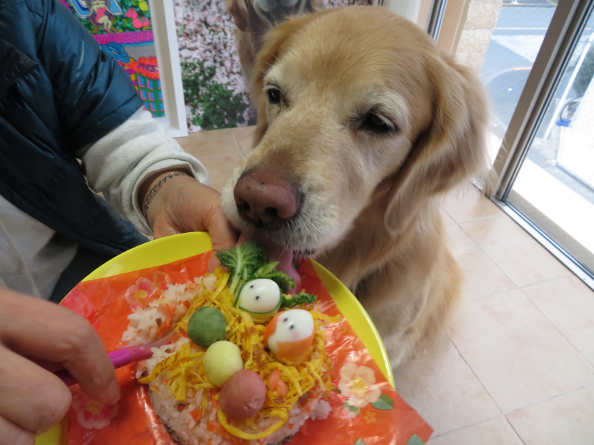 ファイル 9049-3.jpg