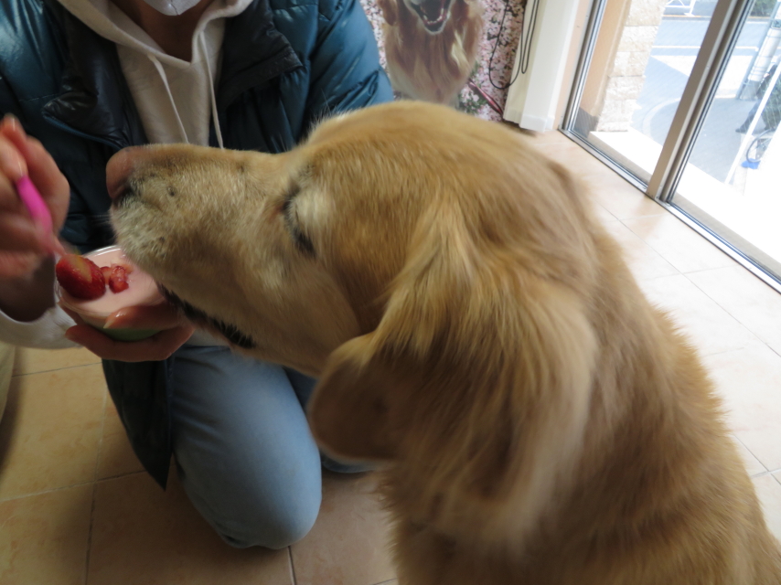 ファイル 9049-5.jpg