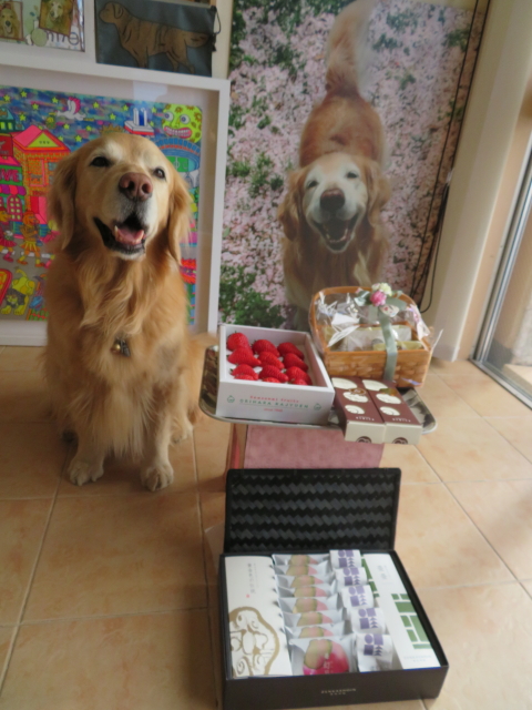 ファイル 9051-1.jpg