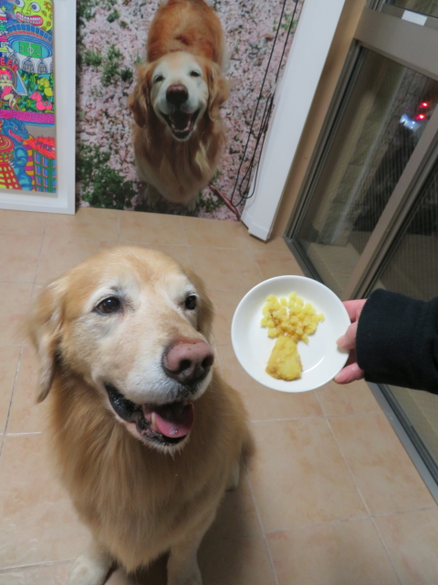 ファイル 9051-5.jpg