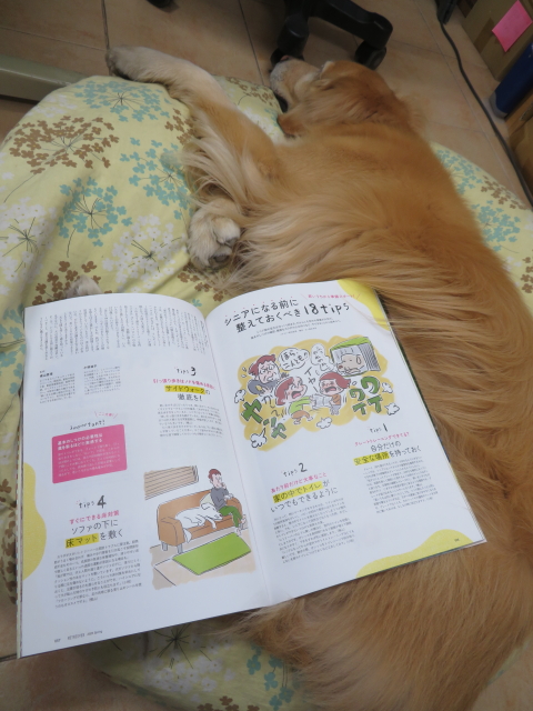 ファイル 9052-5.jpg