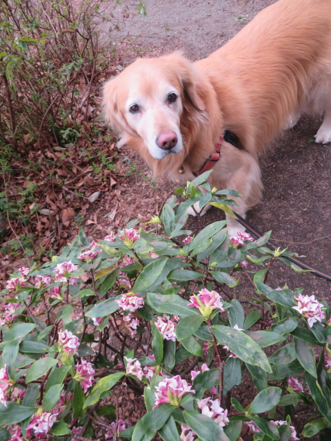 ファイル 9053-1.jpg