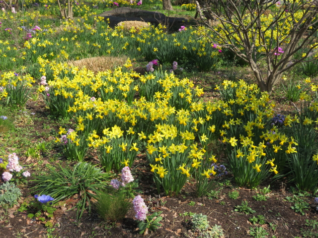 ファイル 9053-3.jpg