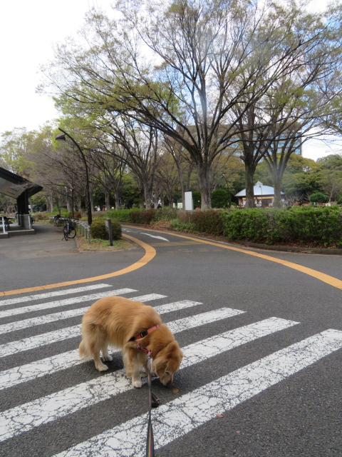 ファイル 9059-1.jpg