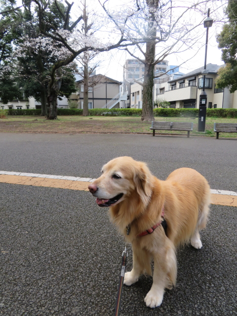 ファイル 9059-4.jpg