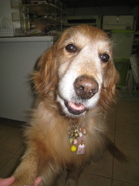 ファイル 906-2.jpg