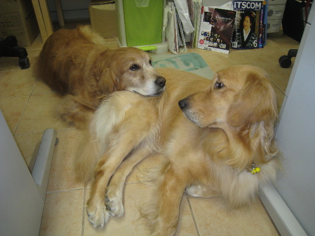 ファイル 906-4.jpg