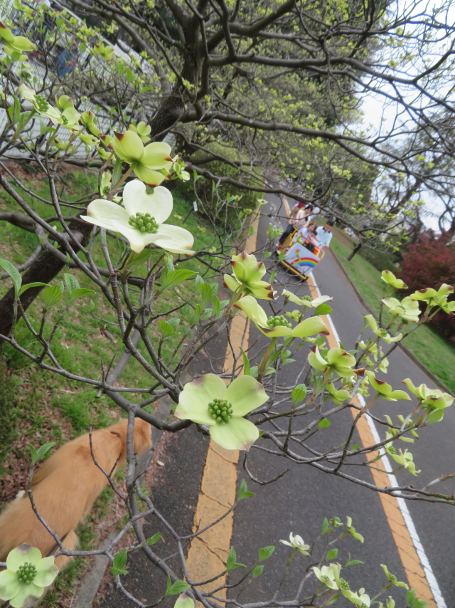 ファイル 9066-1.jpg