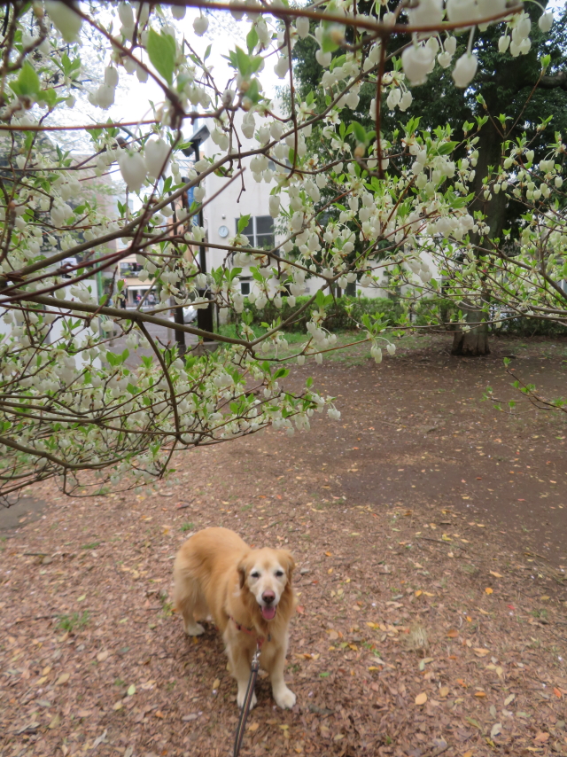 ファイル 9067-3.jpg