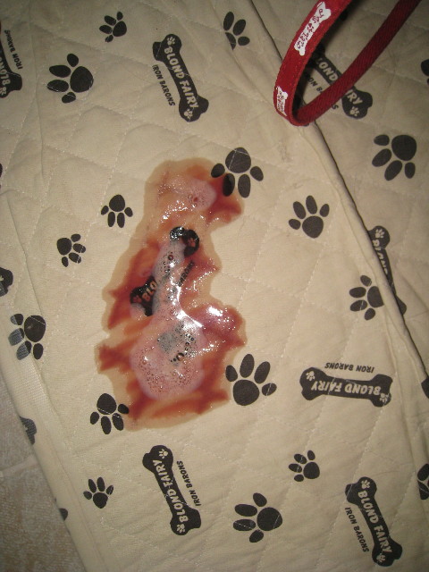 ファイル 907-1.jpg