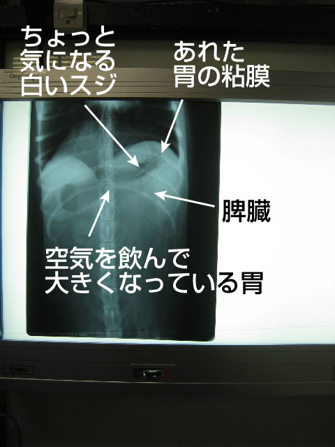 ファイル 907-3.jpg