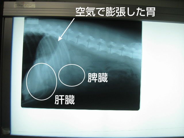 ファイル 907-4.jpg