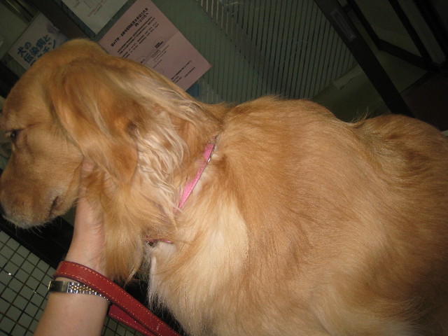 ファイル 907-5.jpg