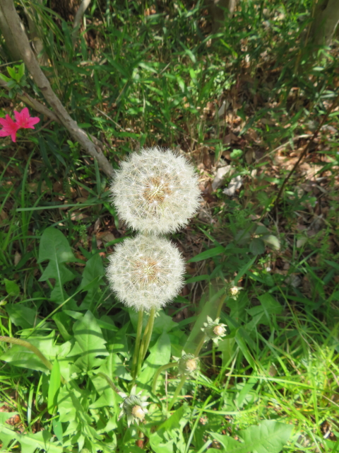 ファイル 9070-5.jpg