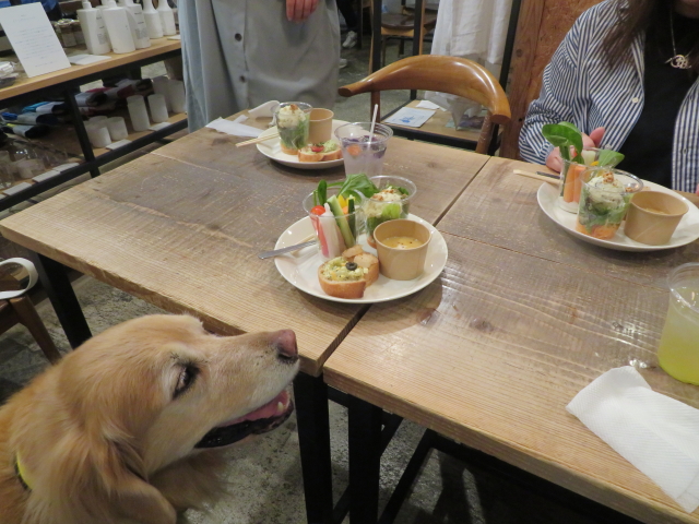 ファイル 9071-2.jpg