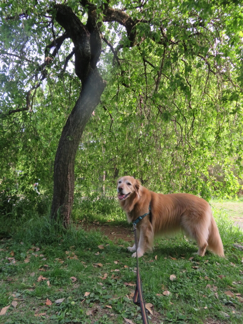 ファイル 9072-2.jpg