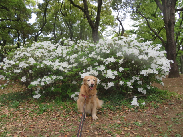 ファイル 9072-4.jpg