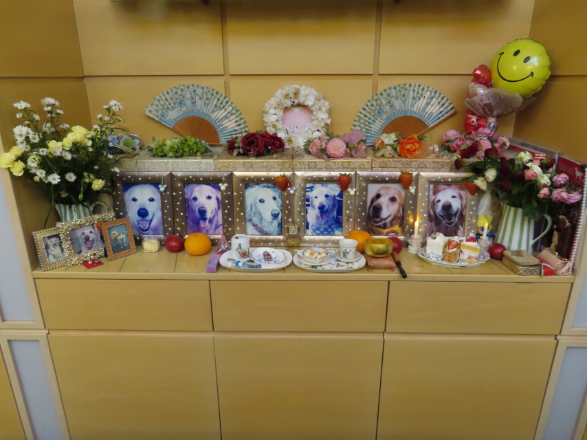 ファイル 9073-2.jpg