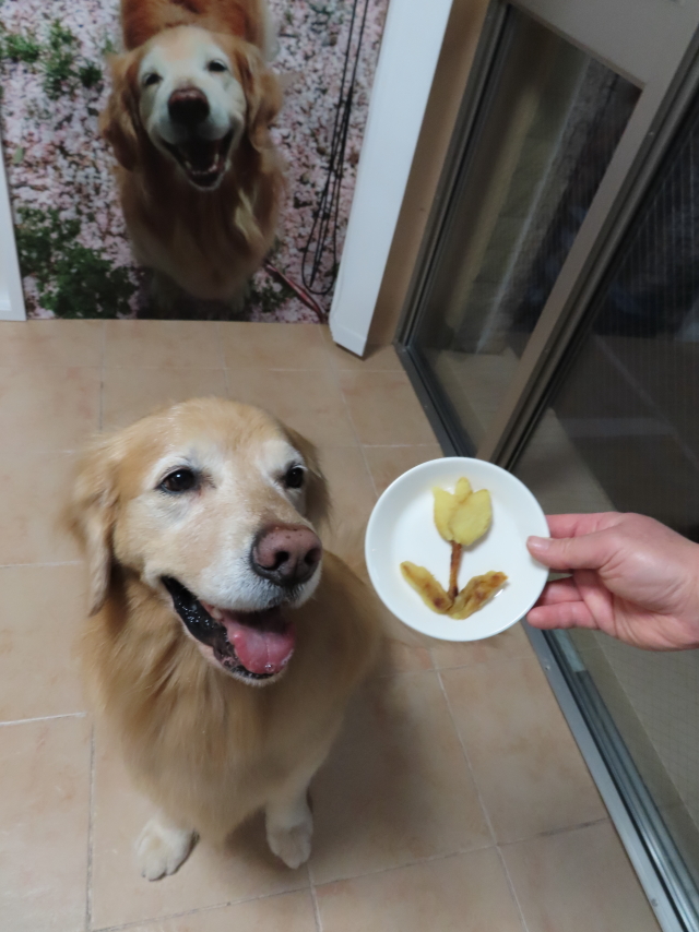 ファイル 9073-4.jpg