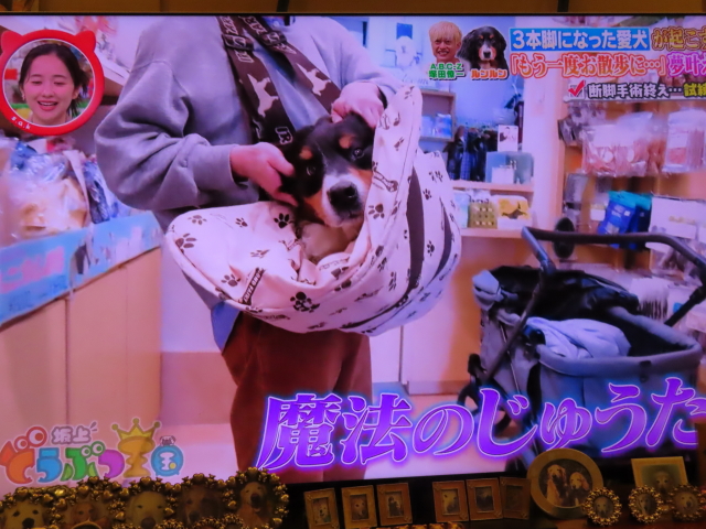 ファイル 9074-4.jpg