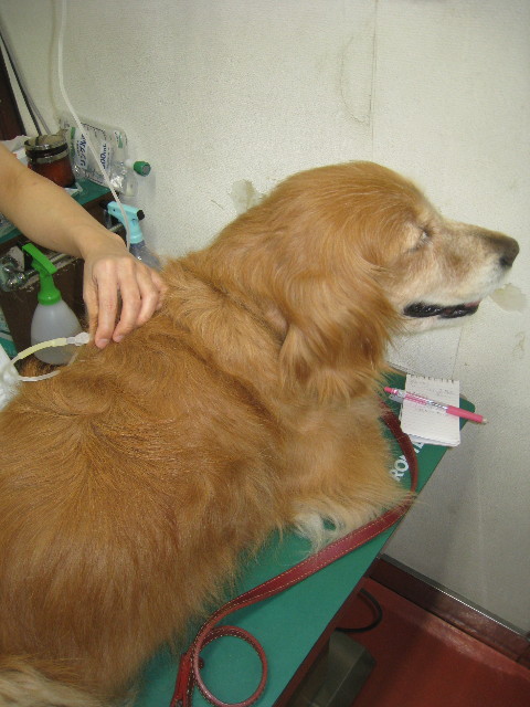 ファイル 908-1.jpg