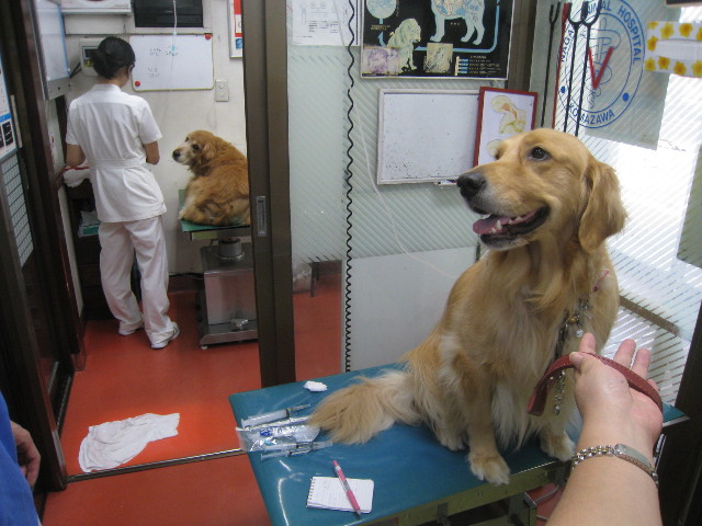 ファイル 908-2.jpg