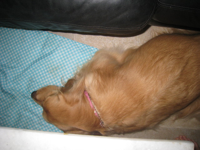 ファイル 908-4.jpg