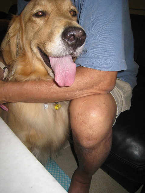 ファイル 908-5.jpg