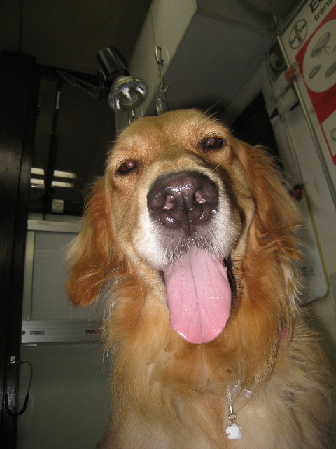 ファイル 909-5.jpg