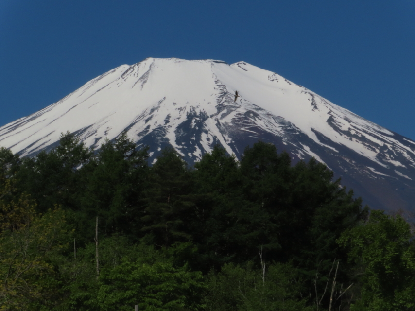 ファイル 9090-2.jpg