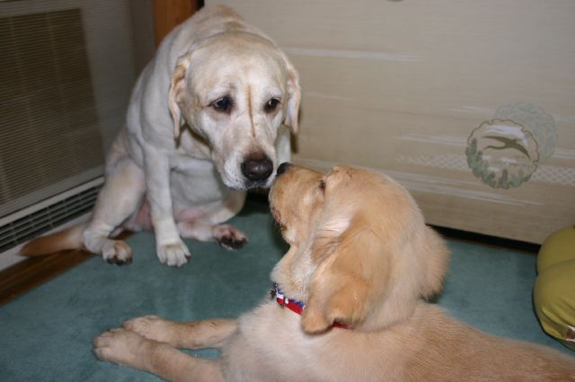 ファイル 91-2.jpg