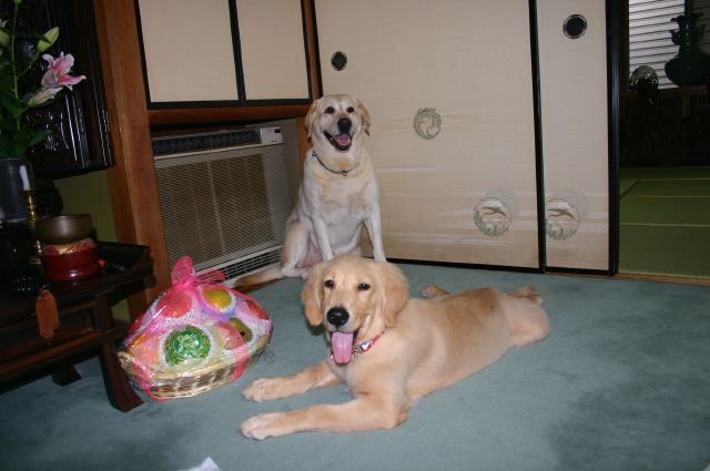 ファイル 91-3.jpg