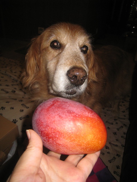 ファイル 910-1.jpg