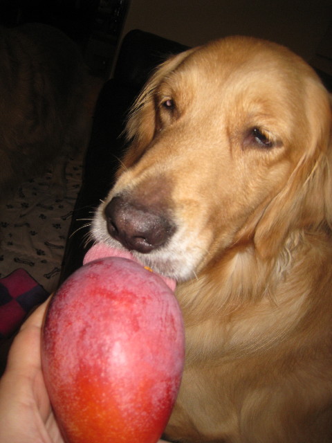 ファイル 910-2.jpg