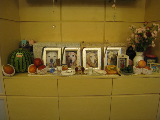 ファイル 910-3.jpg