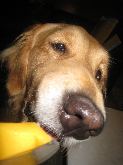 ファイル 910-5.jpg