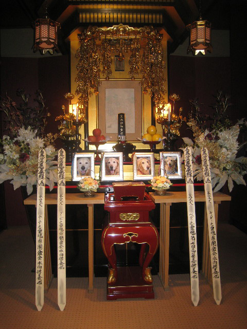 ファイル 911-1.jpg