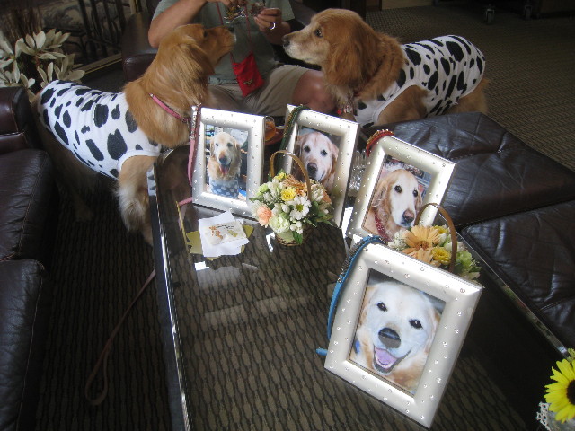 ファイル 911-2.jpg