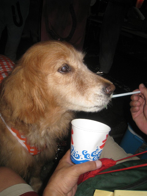 ファイル 913-3.jpg