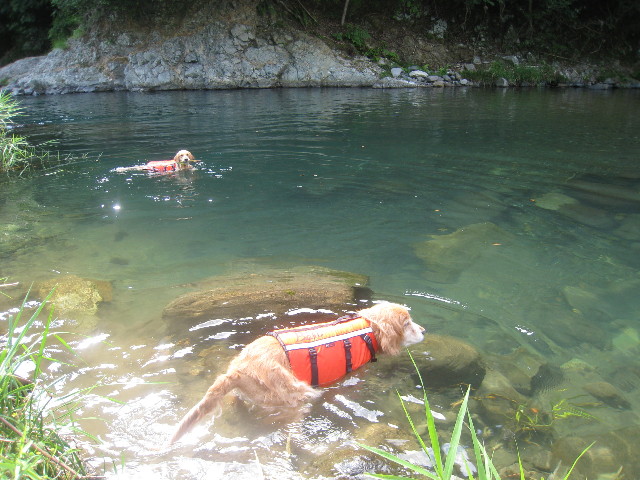 ファイル 914-1.jpg