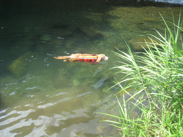 ファイル 914-2.jpg