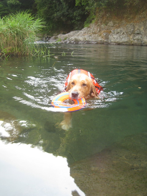 ファイル 915-1.jpg