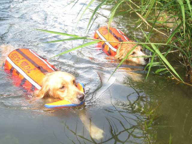 ファイル 915-2.jpg