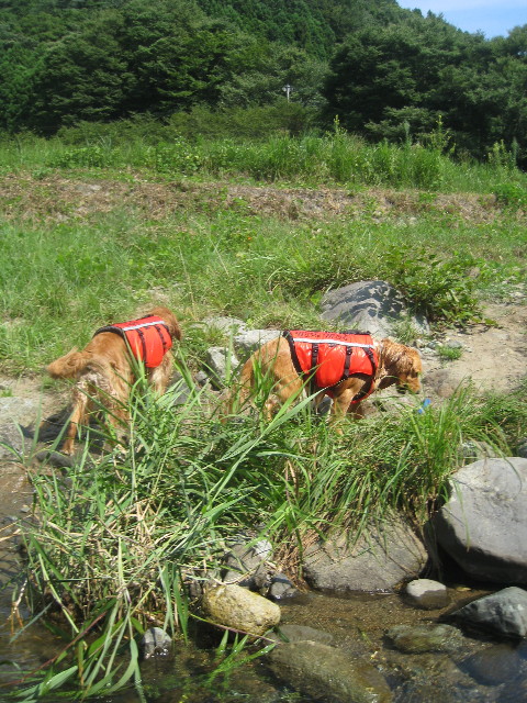 ファイル 915-3.jpg