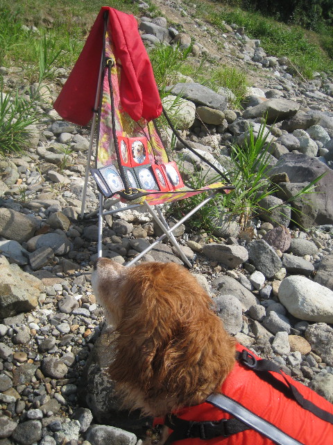 ファイル 915-5.jpg