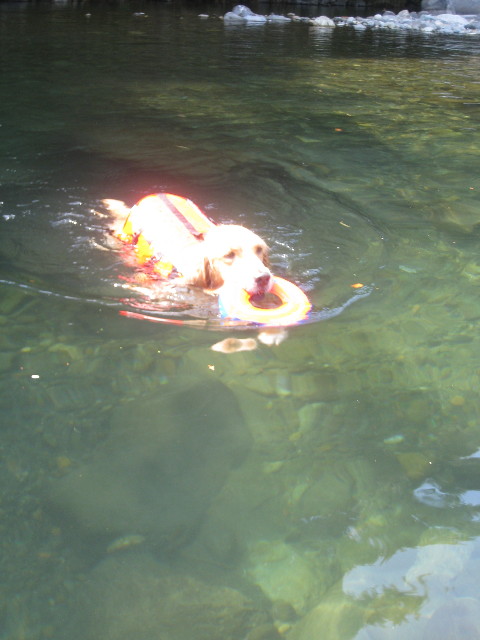 ファイル 916-1.jpg