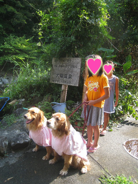 ファイル 916-2.jpg