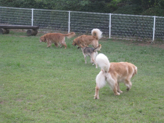 ファイル 916-4.jpg