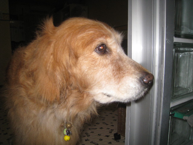 ファイル 917-3.jpg